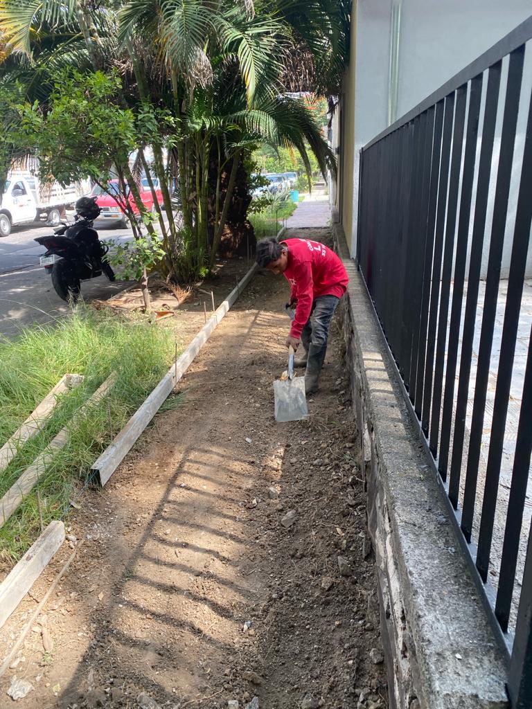 Imagen del proyecto