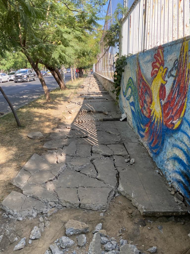 Imagen del proyecto