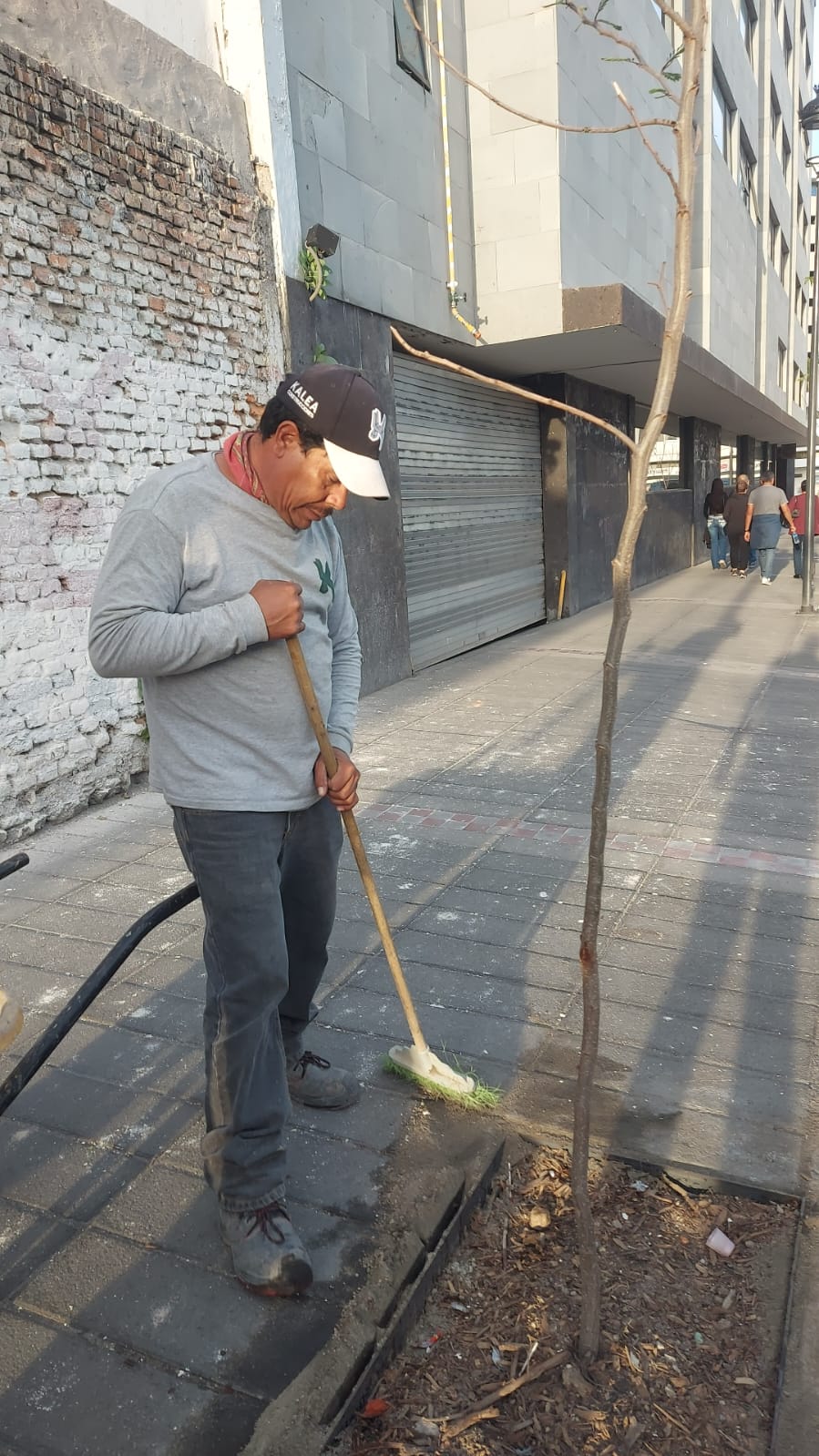 Imagen del proyecto