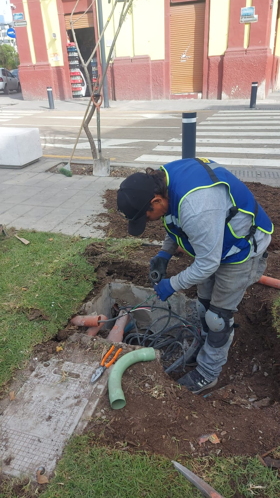 Imagen del proyecto