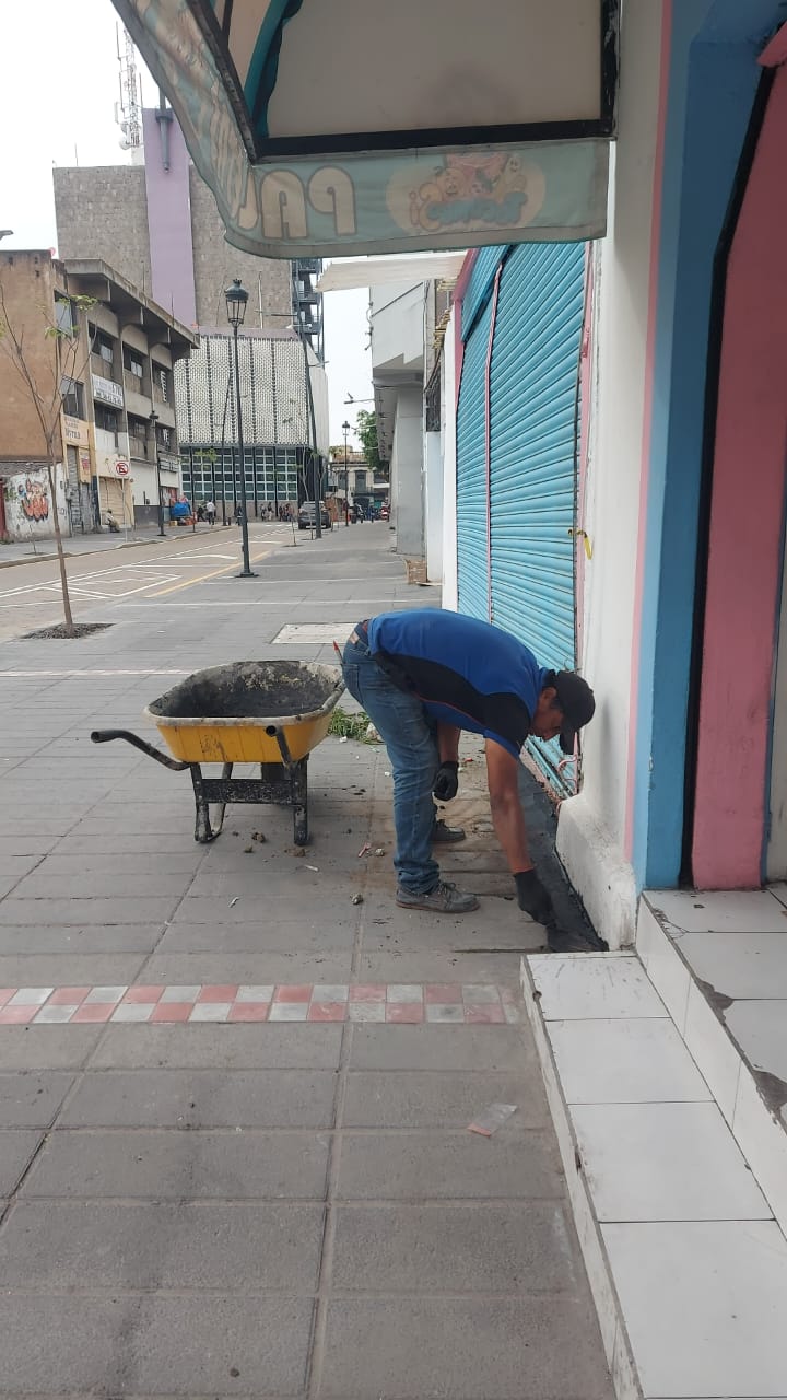 Imagen del proyecto