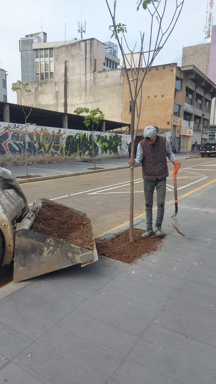 Imagen del proyecto