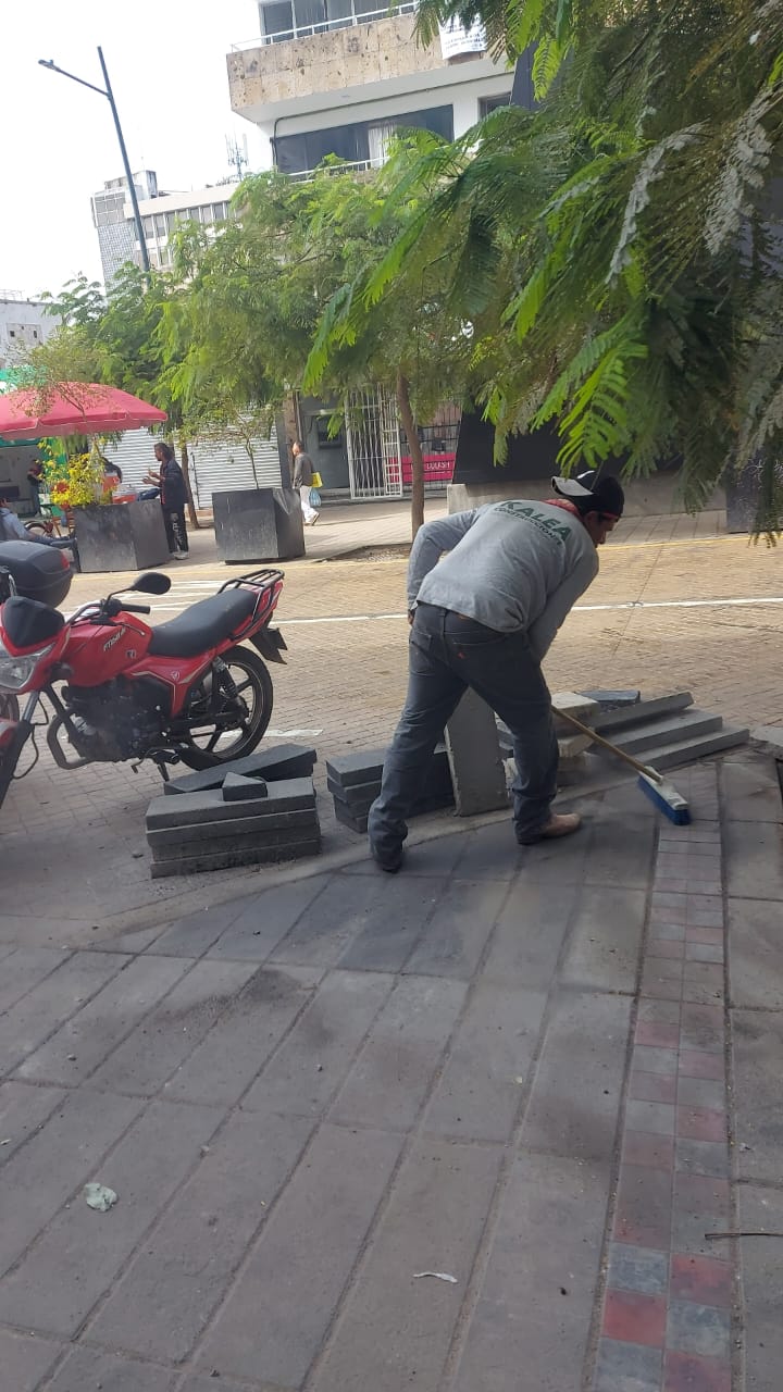 Imagen del proyecto