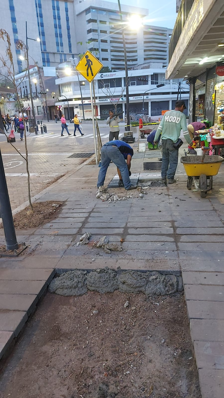 Imagen del proyecto