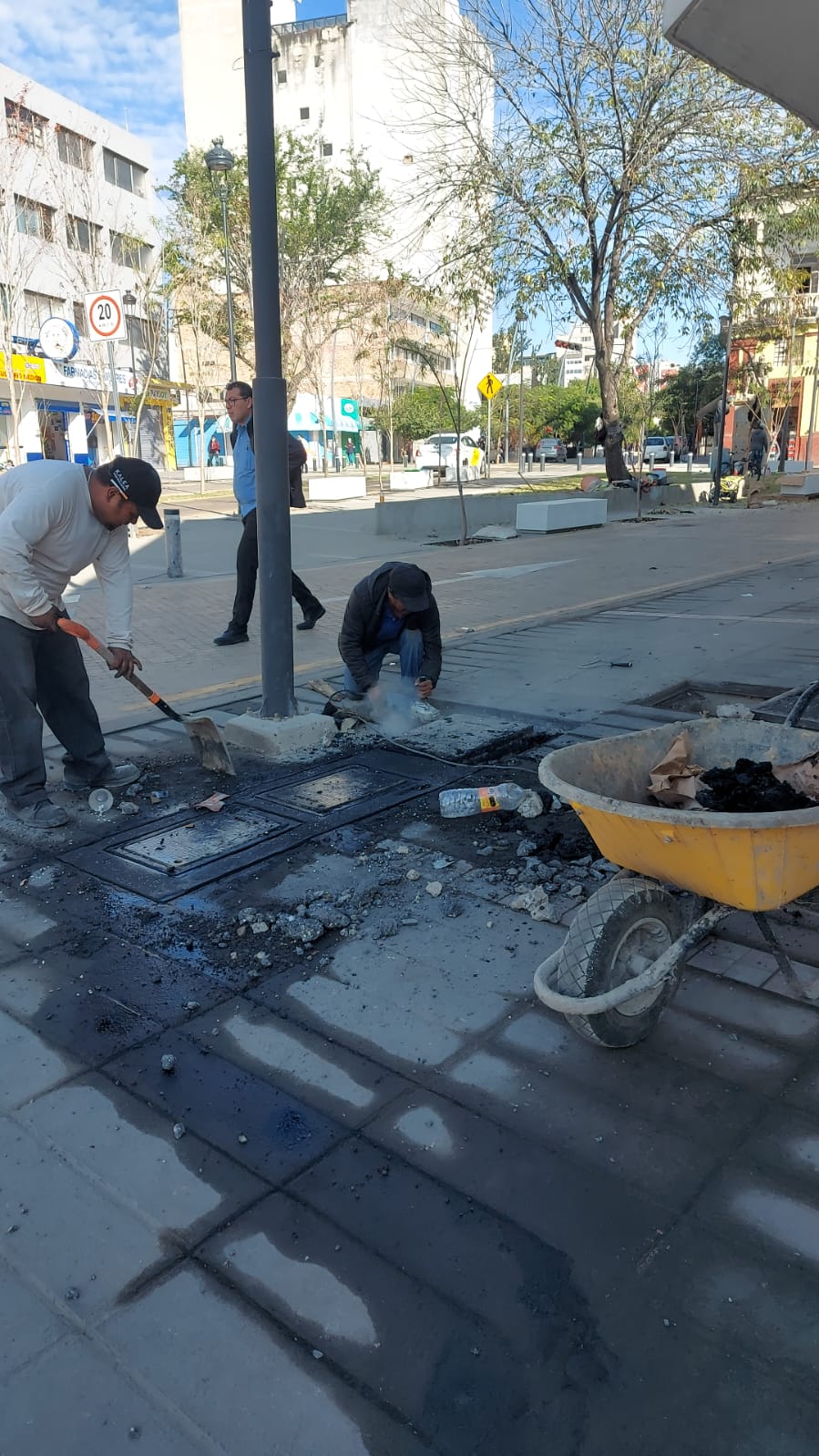 Imagen del Proyecto