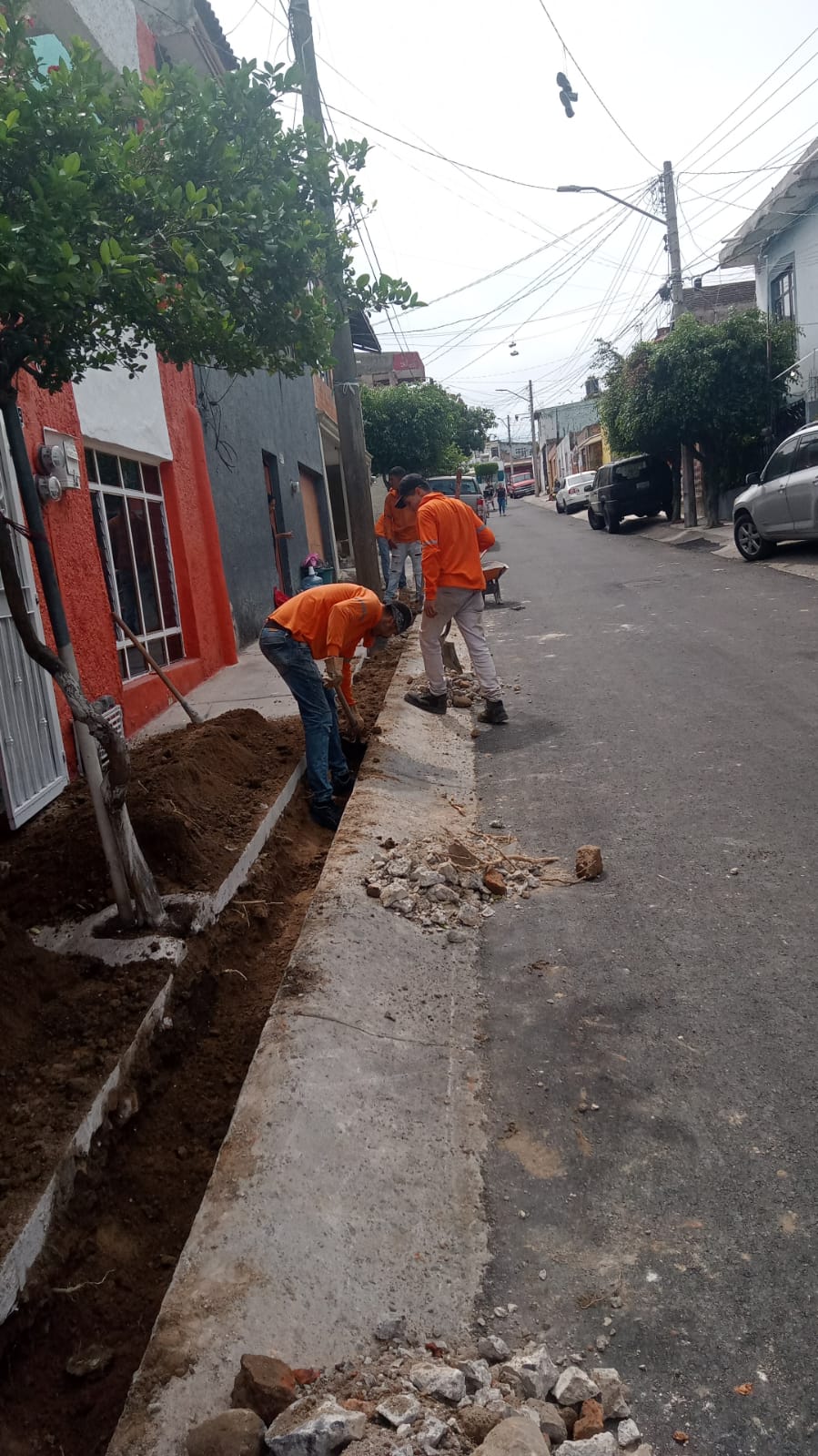 Imagen del proyecto