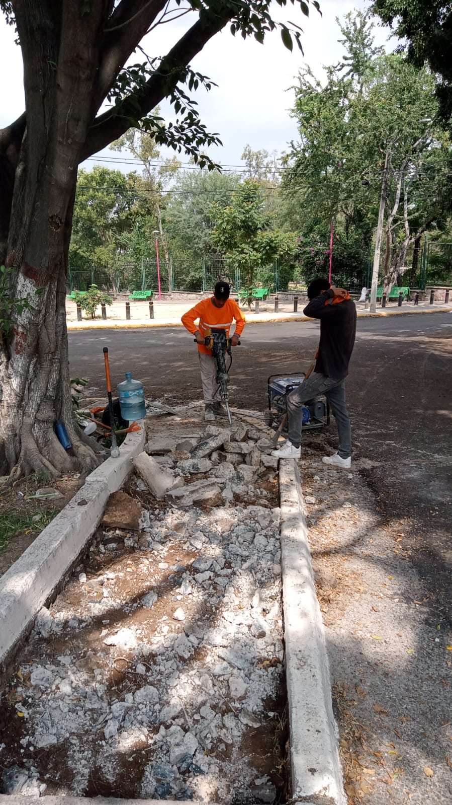 Imagen del proyecto