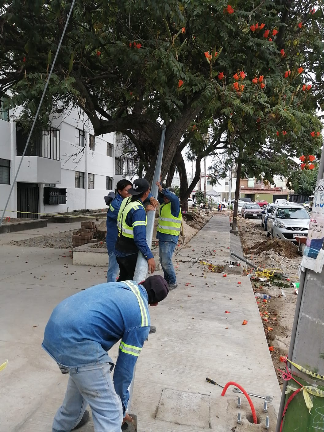 Imagen del proyecto
