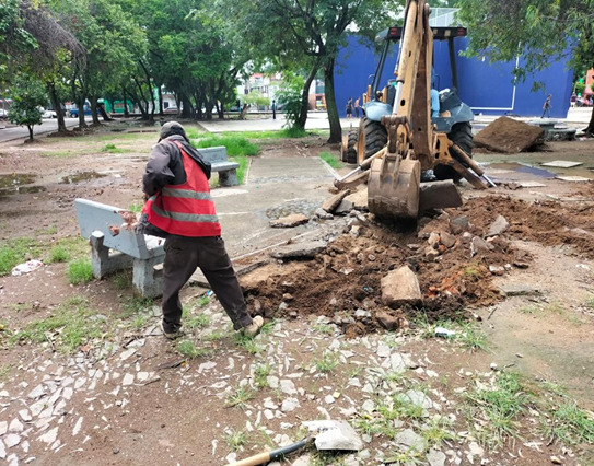 Imagen del proyecto