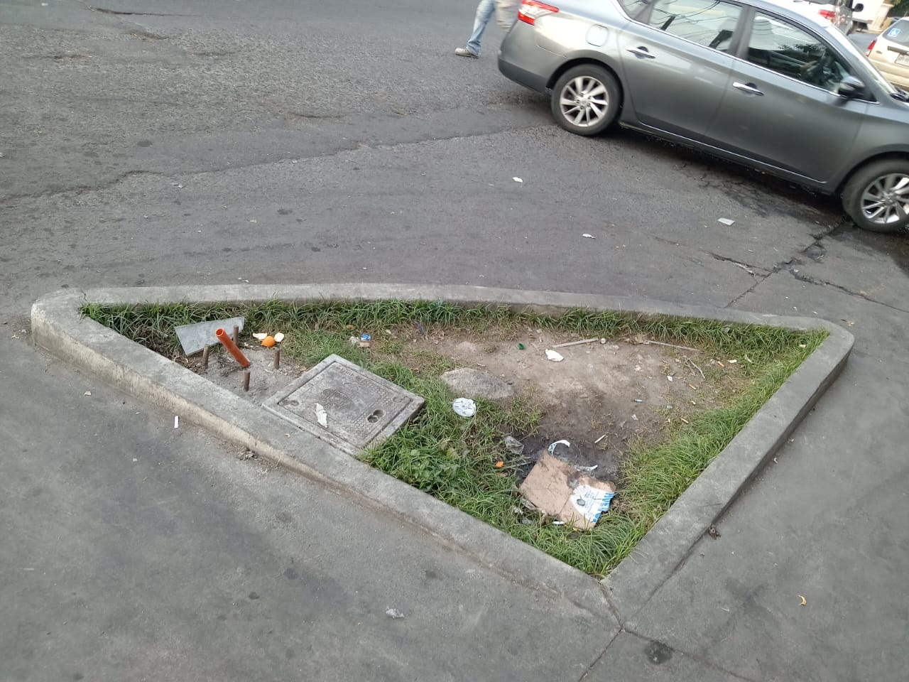 Imagen del Proyecto