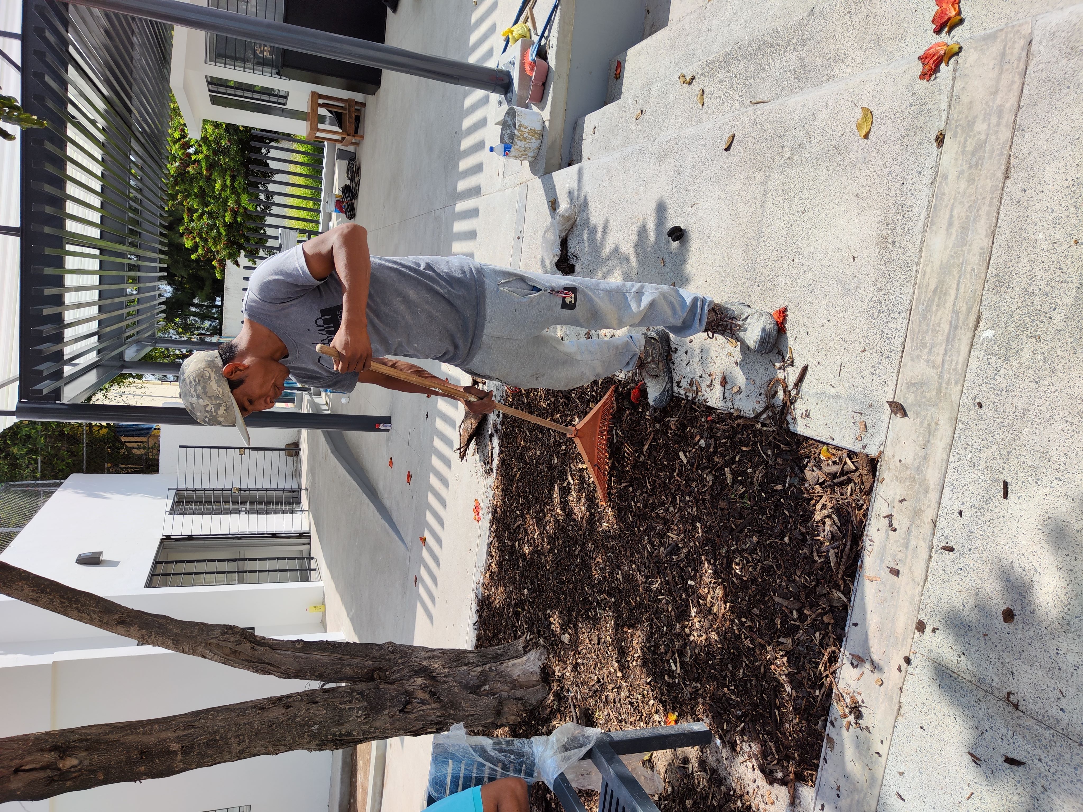 Imagen del proyecto
