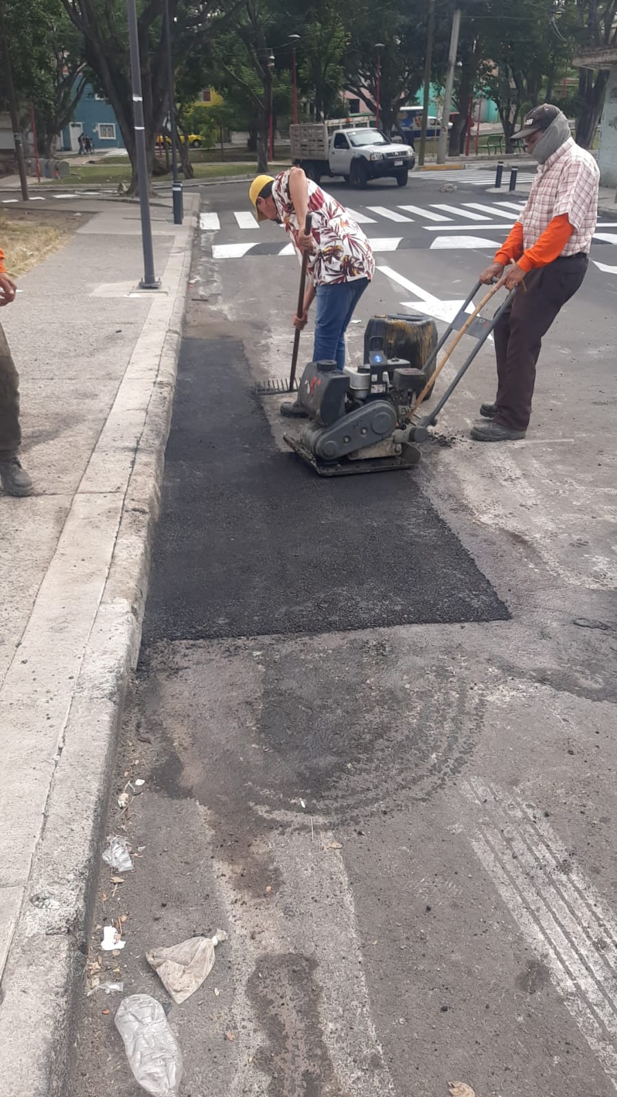 Imagen del proyecto