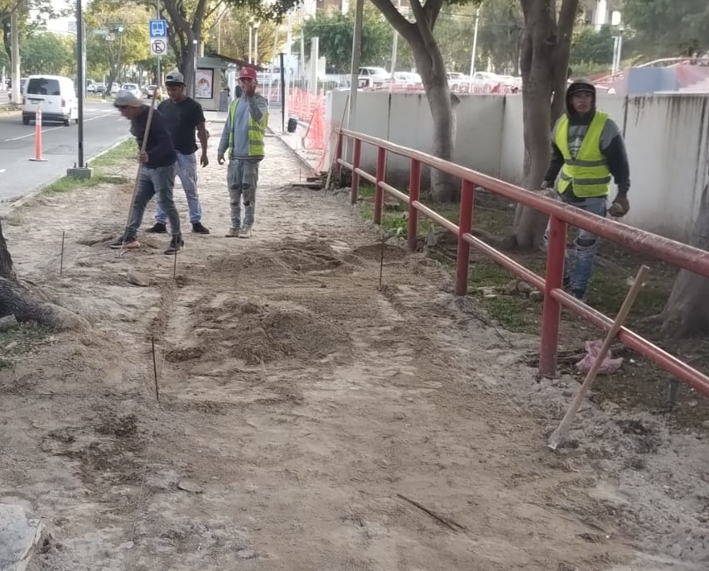Imagen del proyecto