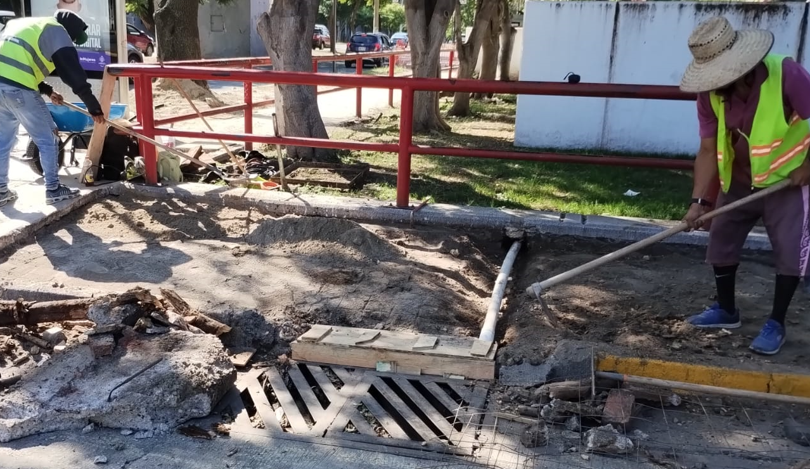 Imagen del proyecto