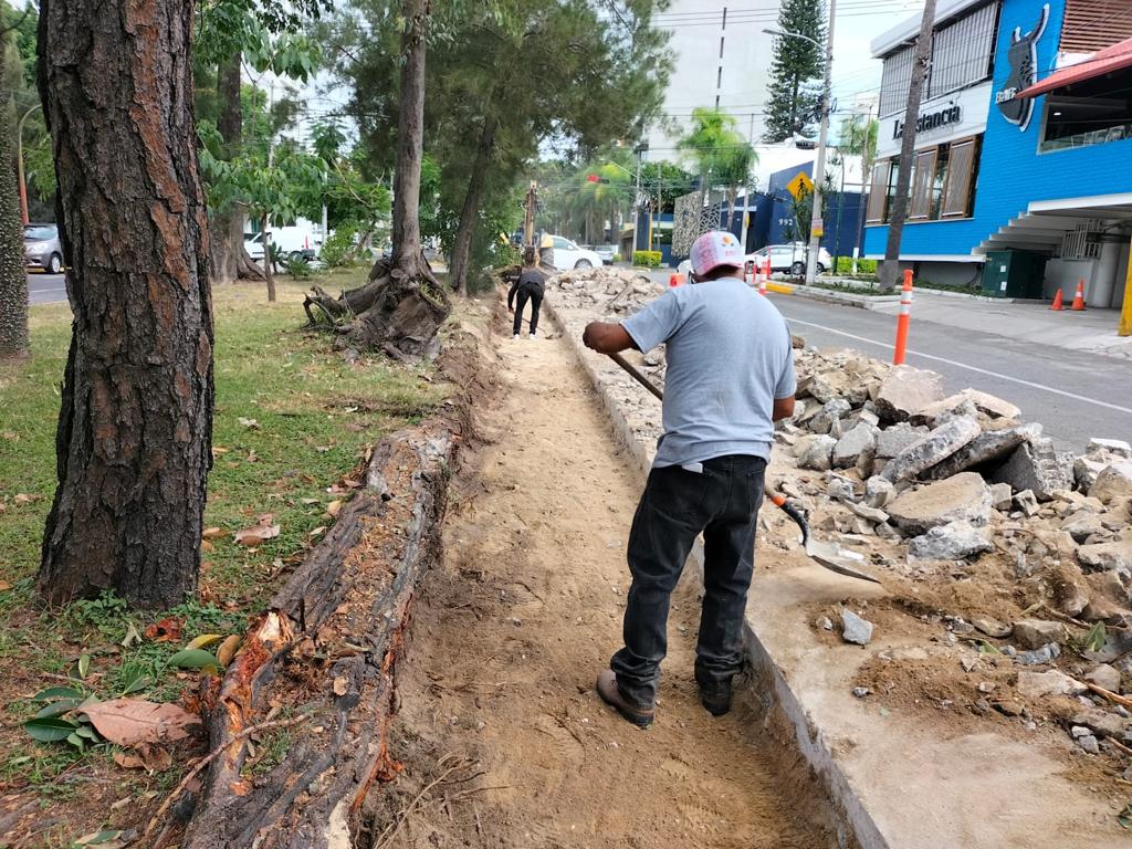 Imagen del proyecto