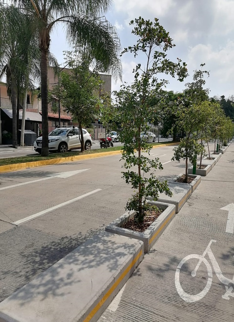 Imagen del proyecto