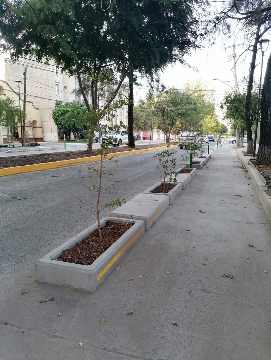 Imagen del proyecto