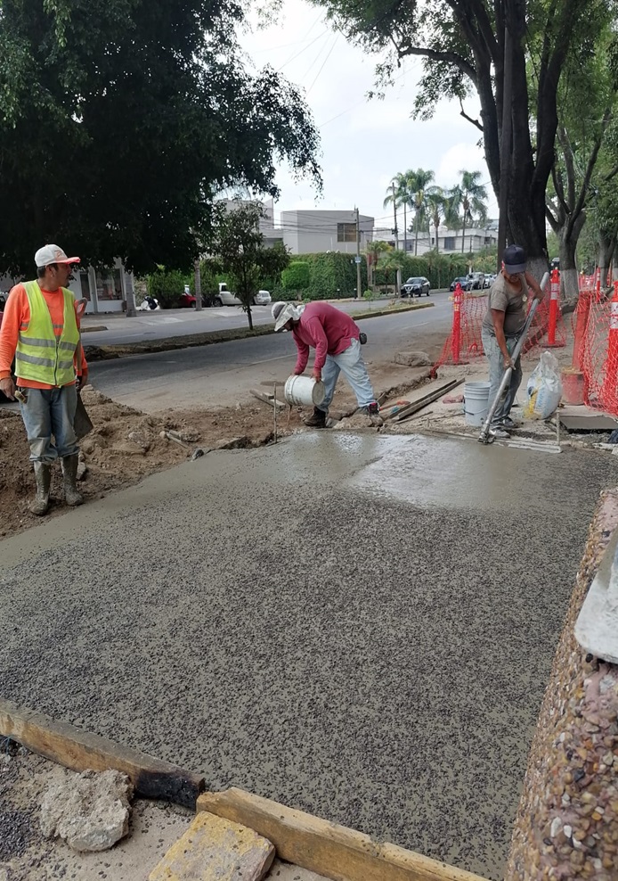 Imagen del proyecto