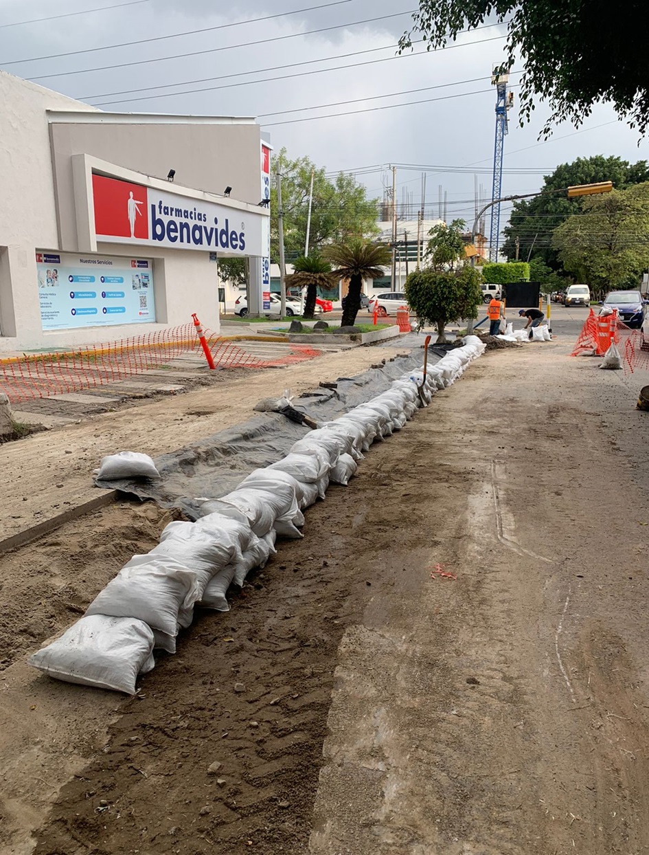 Imagen del proyecto