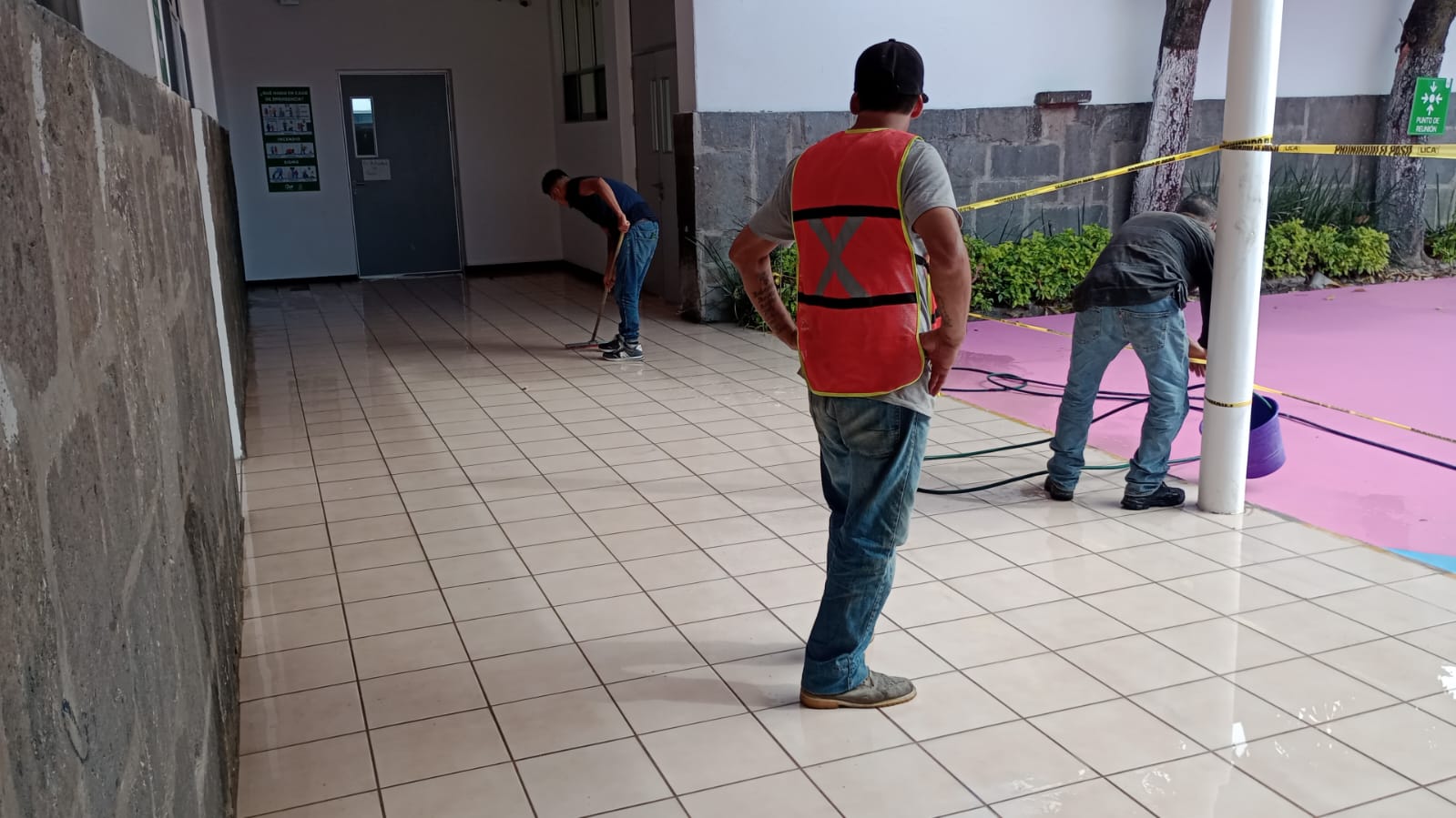 Imagen del proyecto