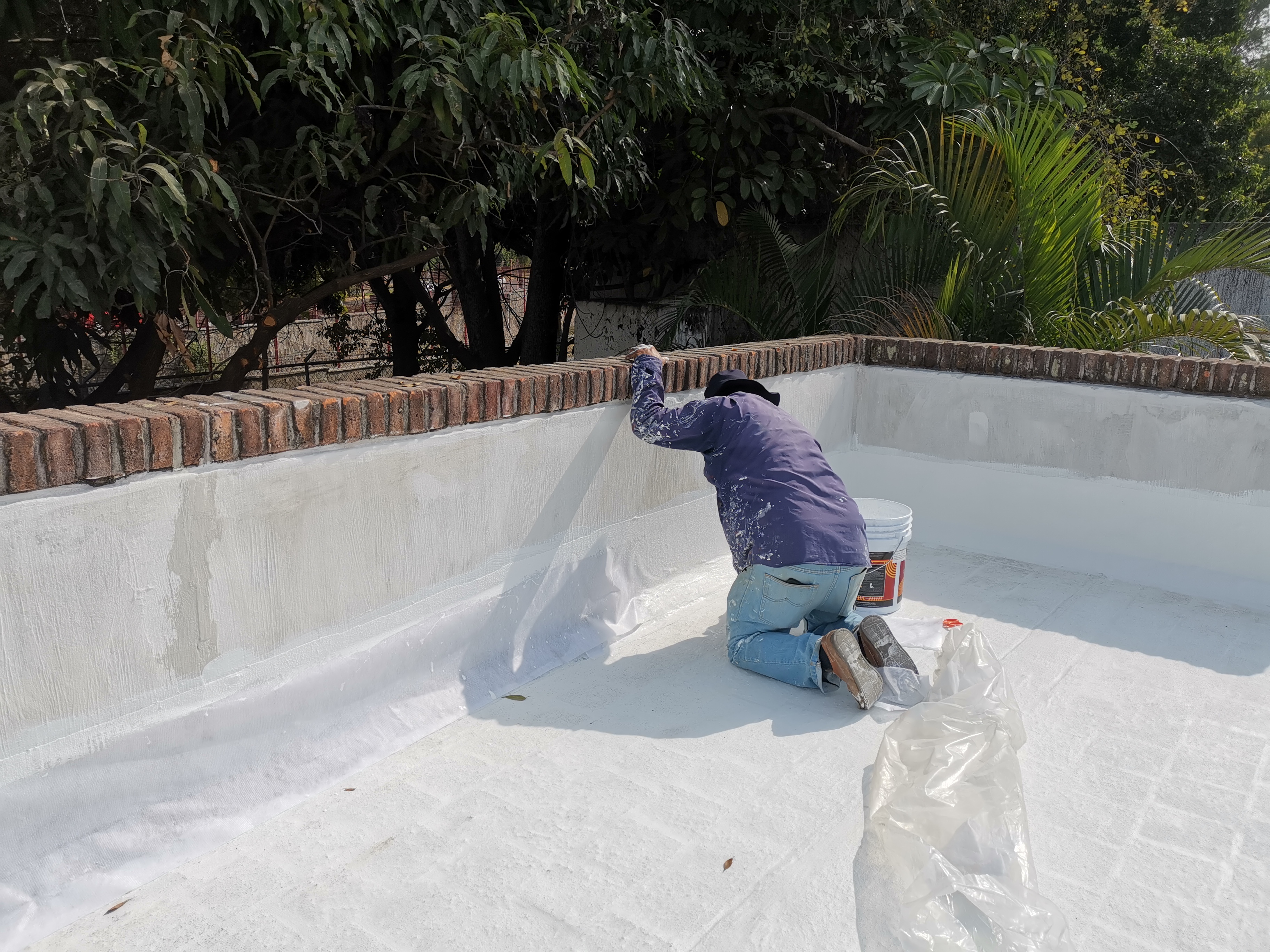 Imagen del proyecto