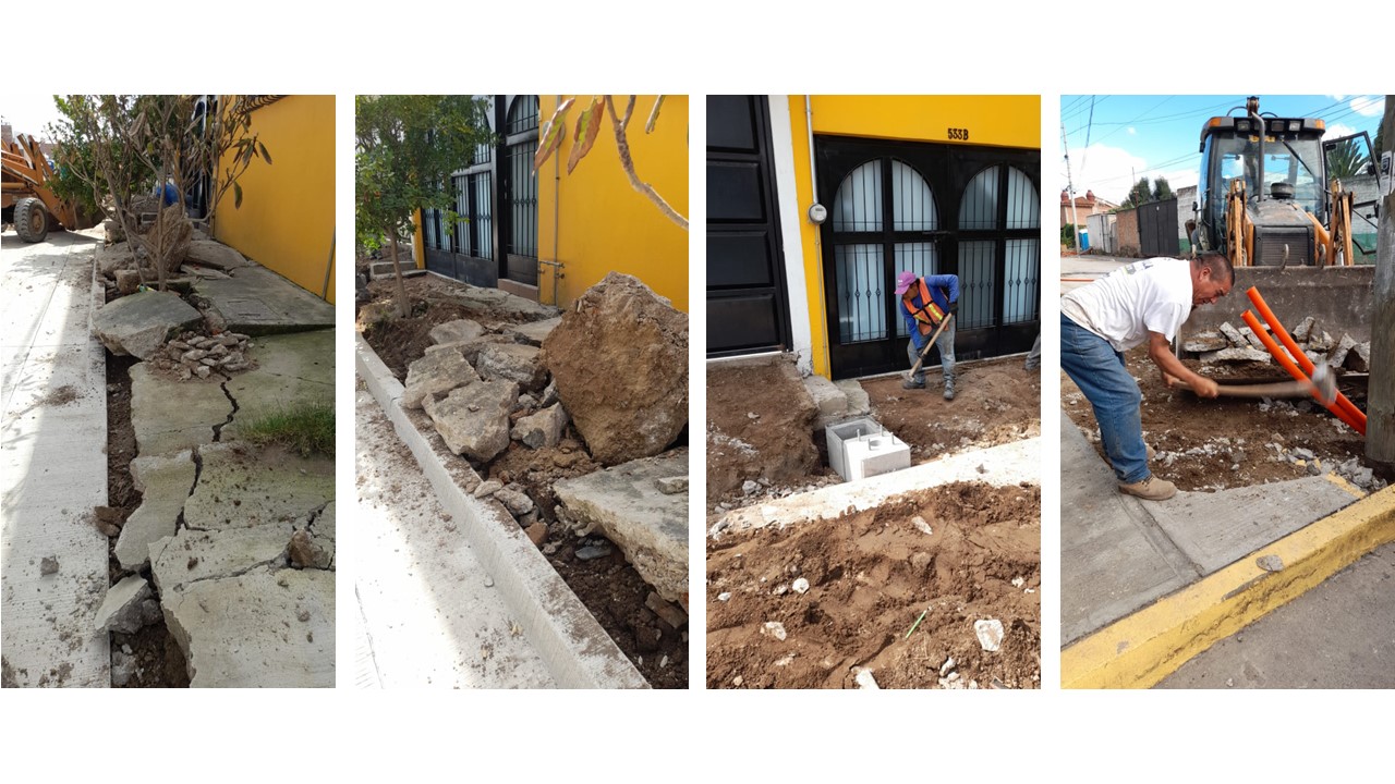 Imagen del proyecto