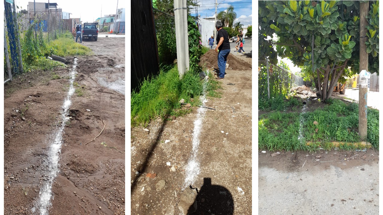 Imagen del proyecto