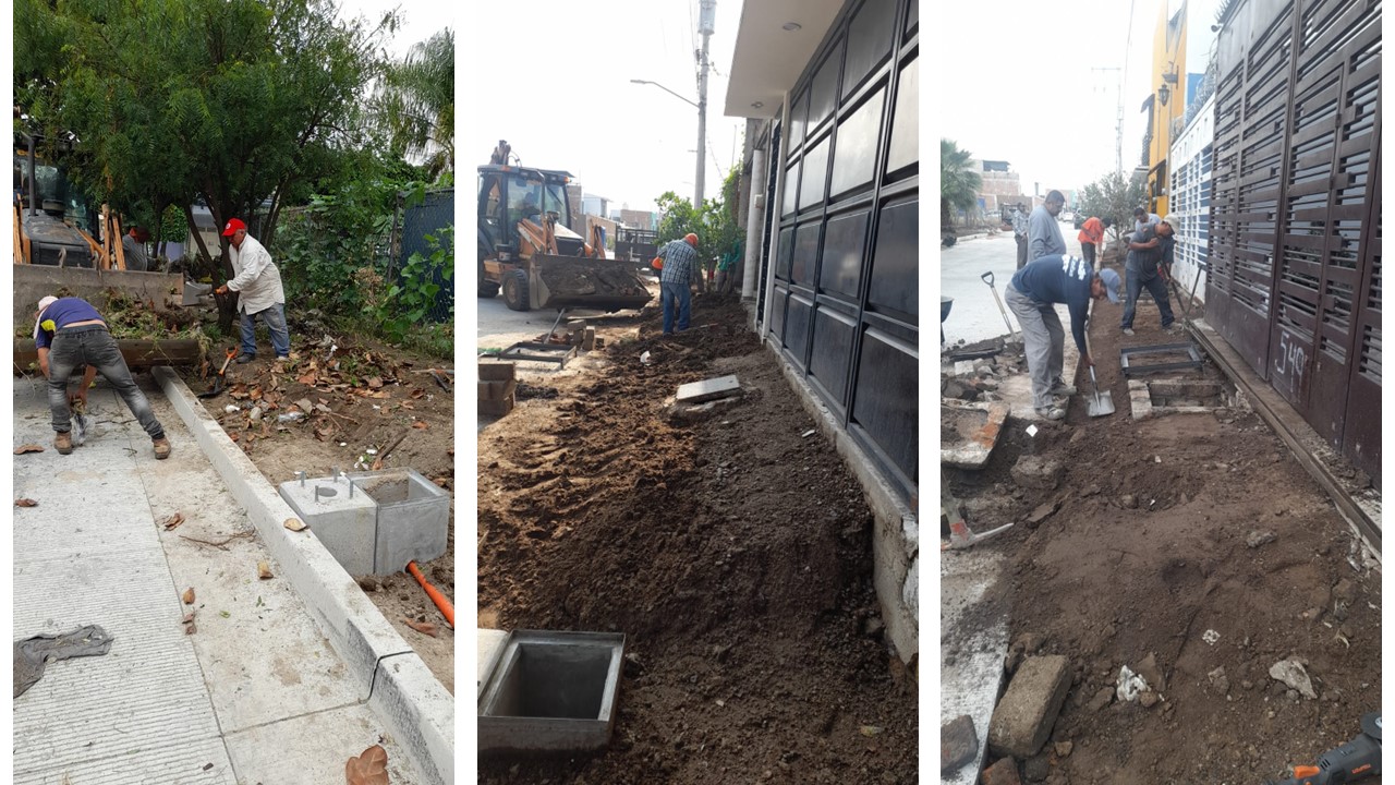 Imagen del proyecto