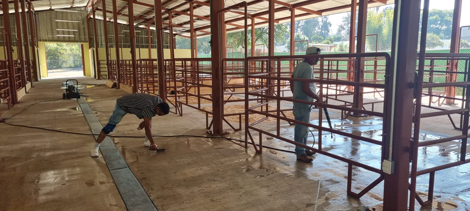 Imagen del Proyecto