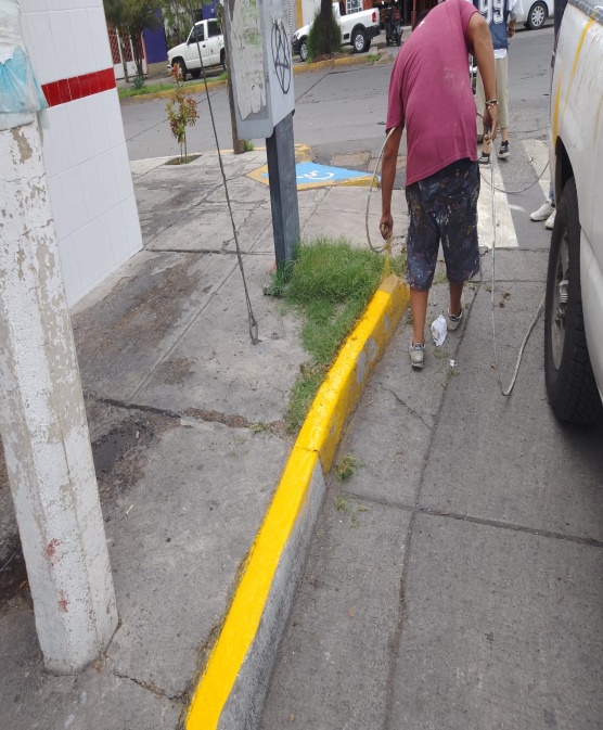 Imagen del proyecto