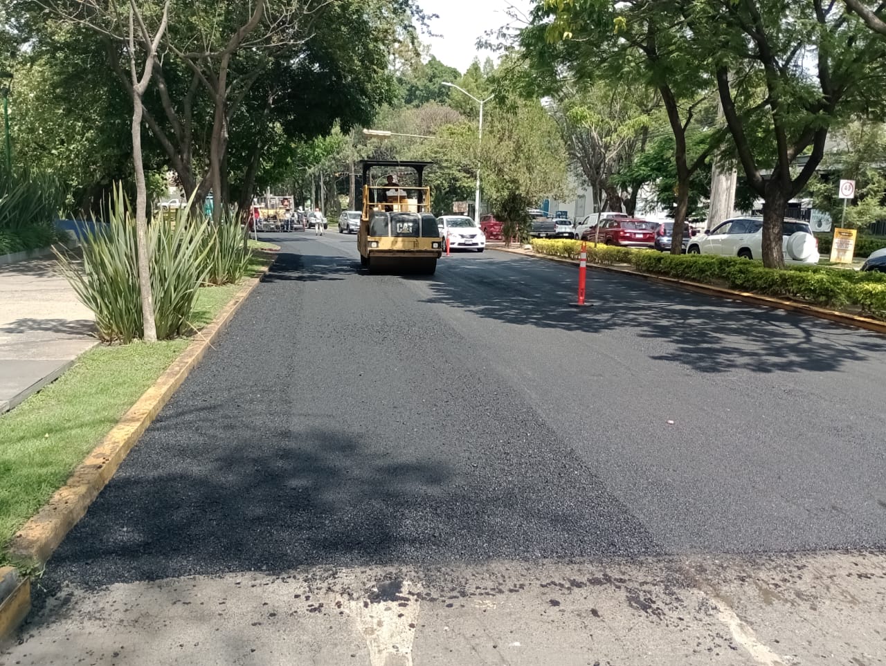 Imagen del proyecto