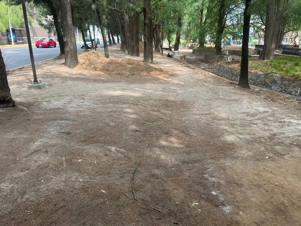 Imagen del proyecto