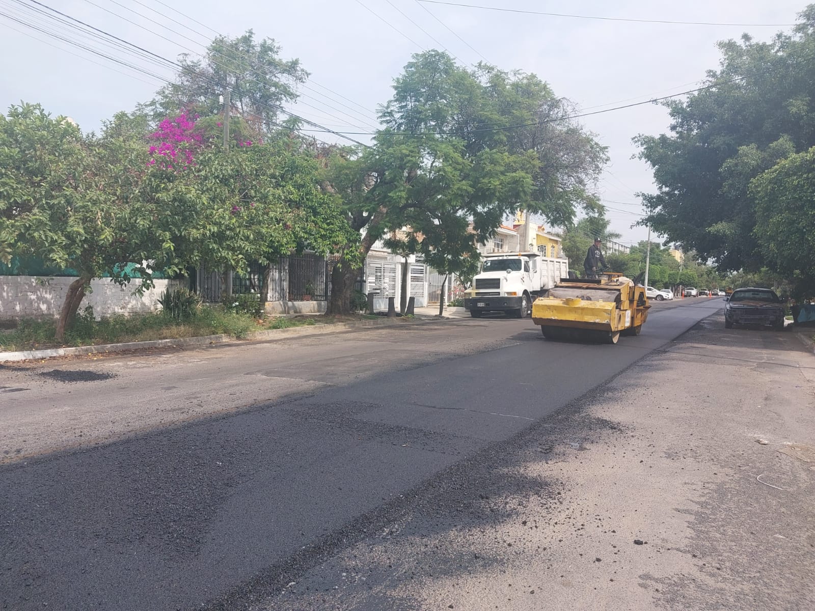 Imagen del proyecto