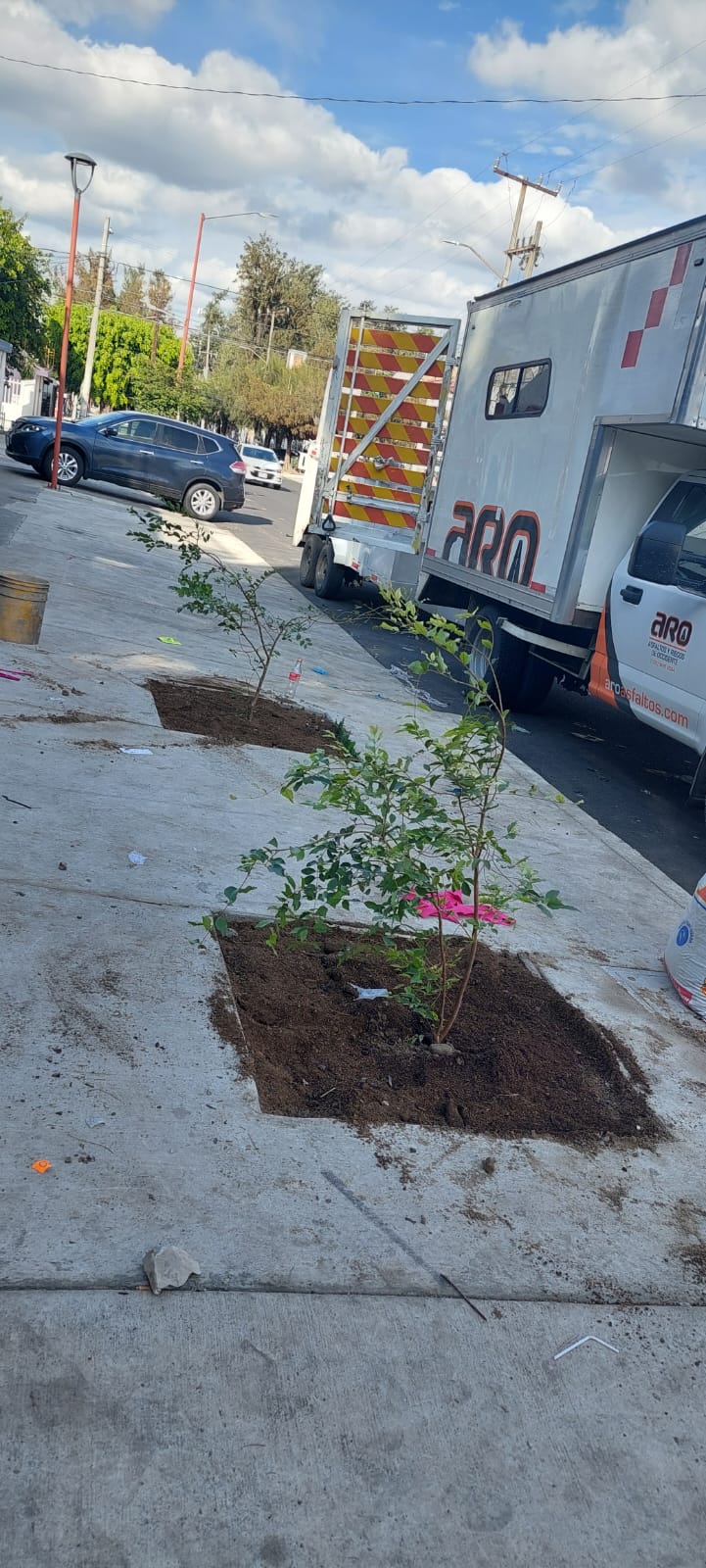 Imagen del proyecto
