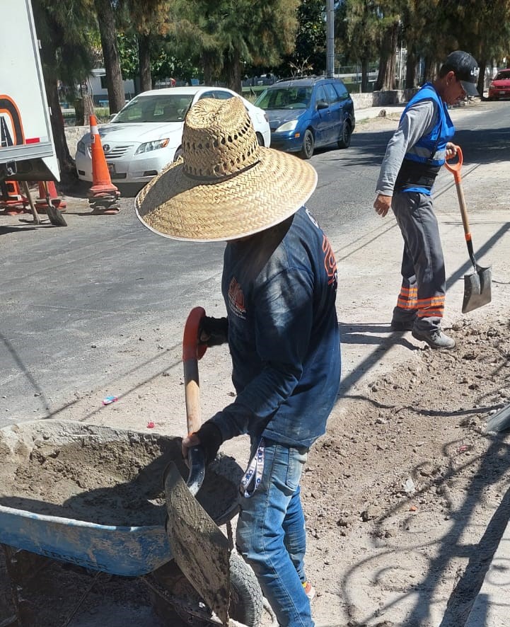 Imagen del proyecto