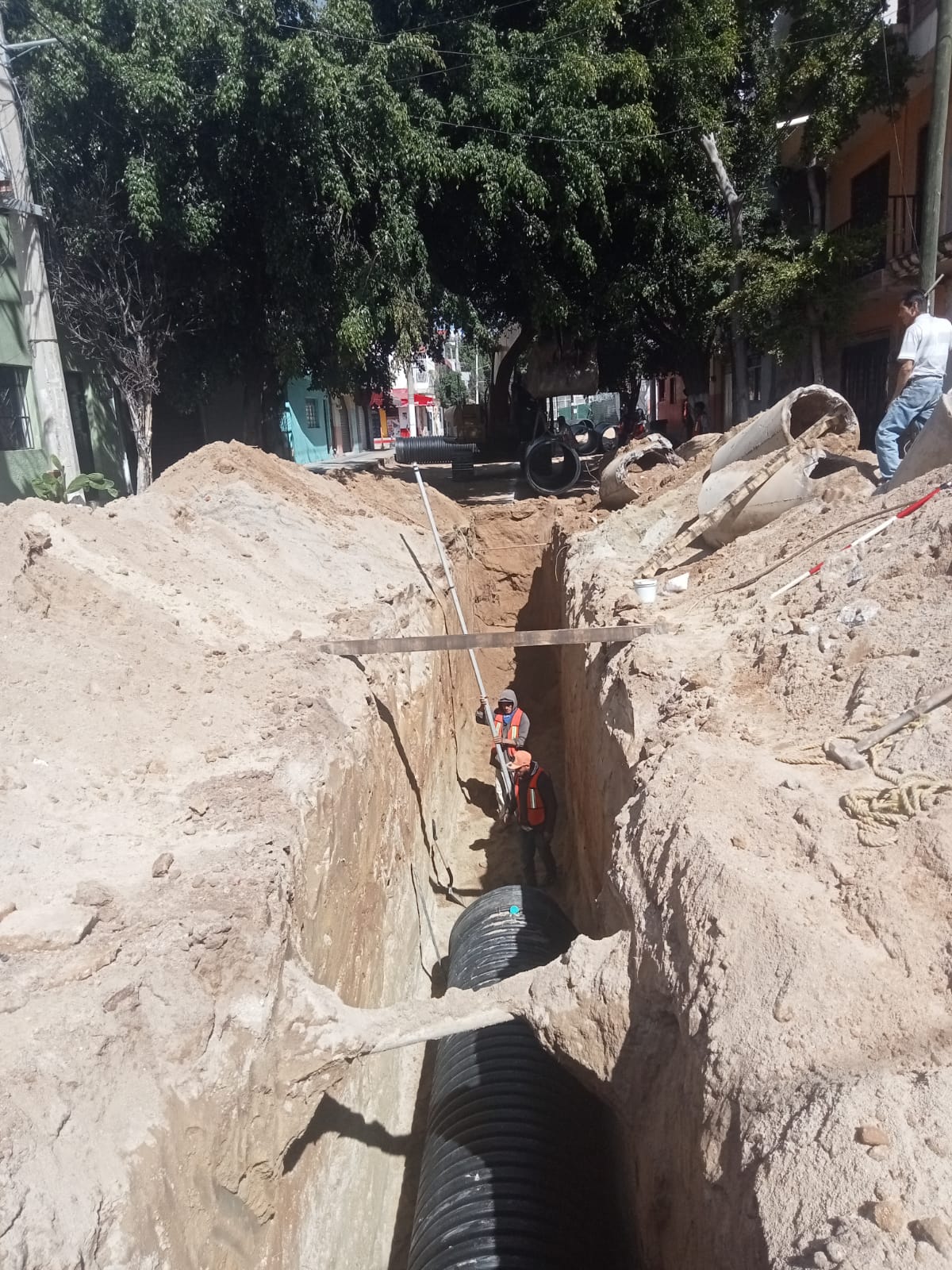 Imagen del proyecto