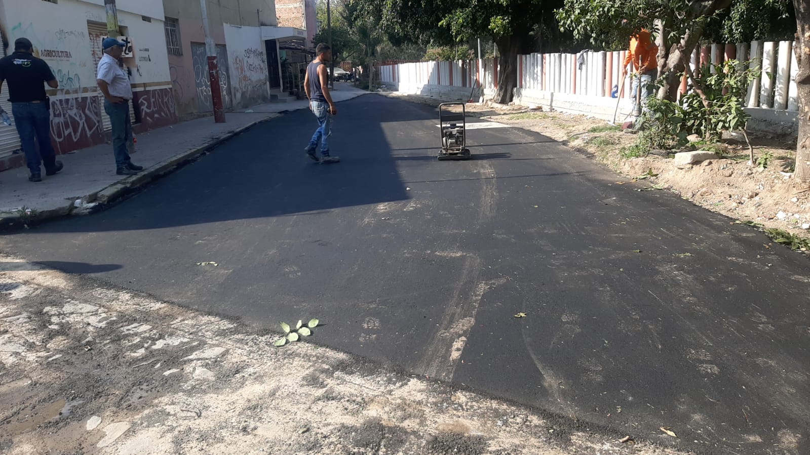 Imagen del proyecto