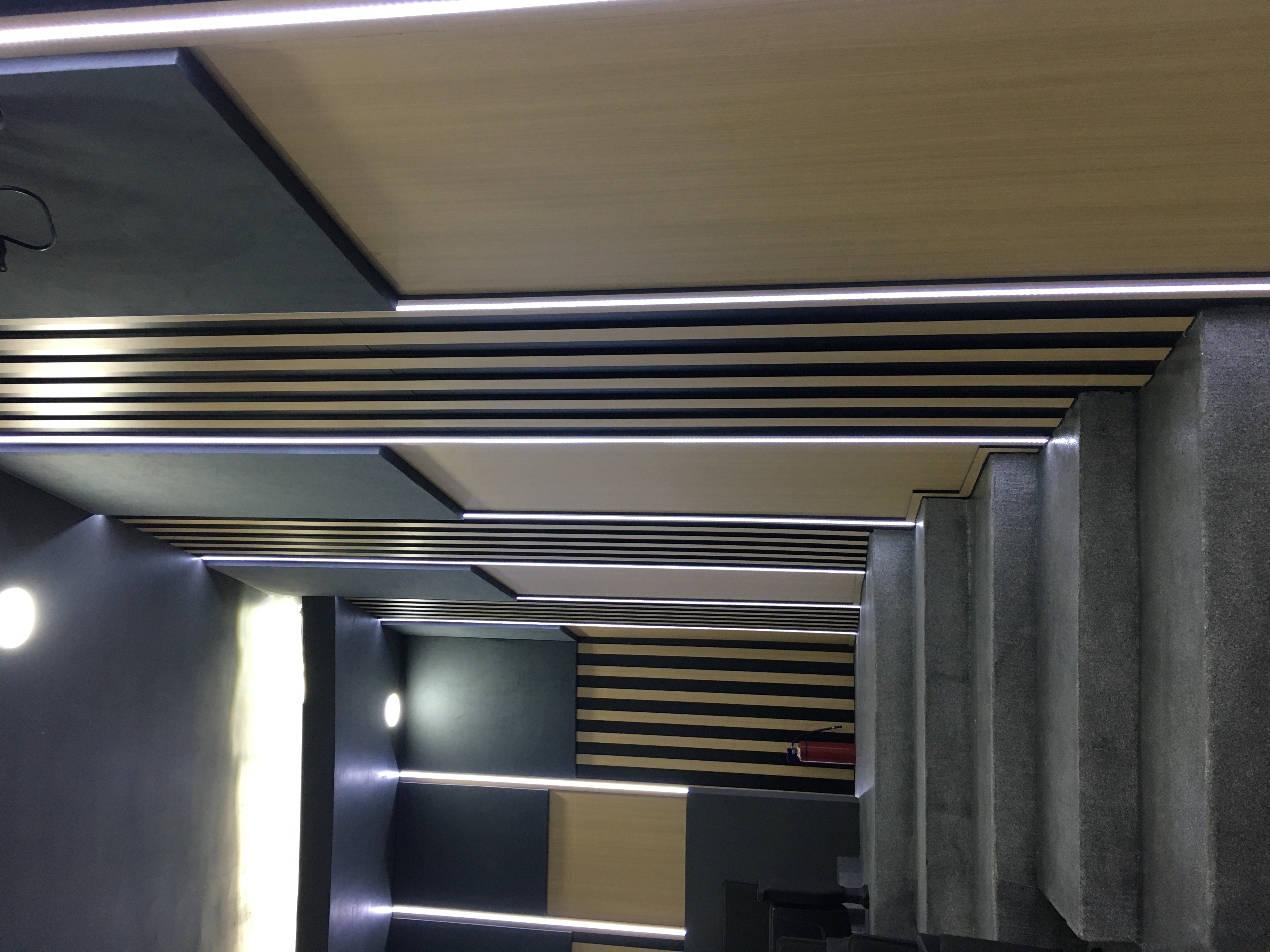 Imagen del proyecto
