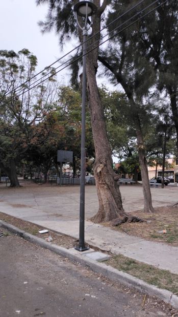 Imagen del proyecto