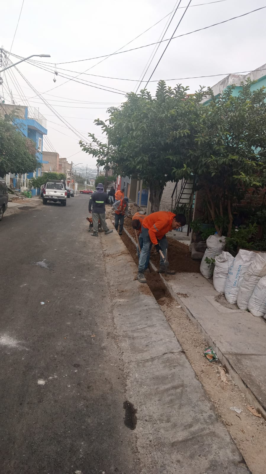 Imagen del proyecto