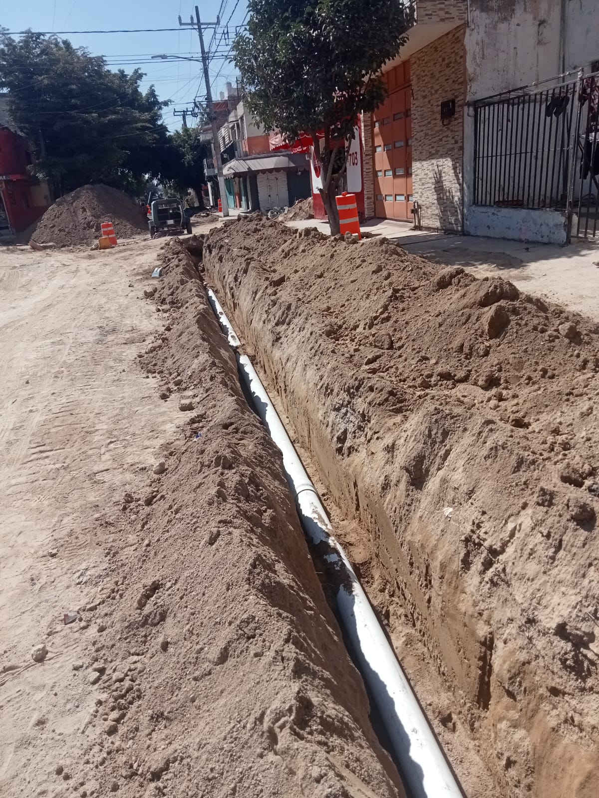 Imagen del proyecto