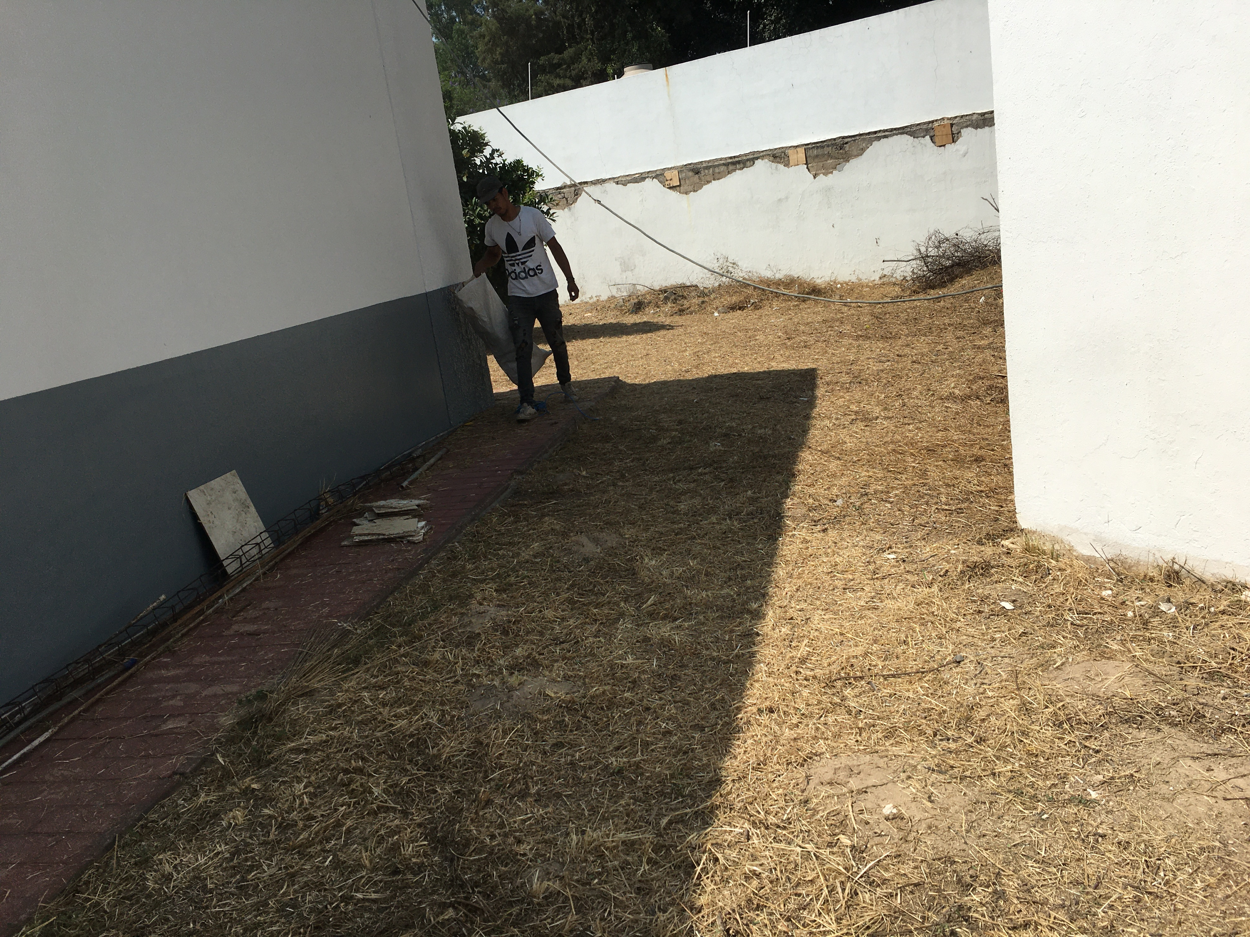 Imagen del proyecto