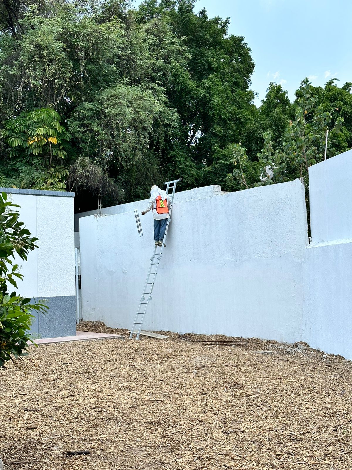 Imagen del Proyecto