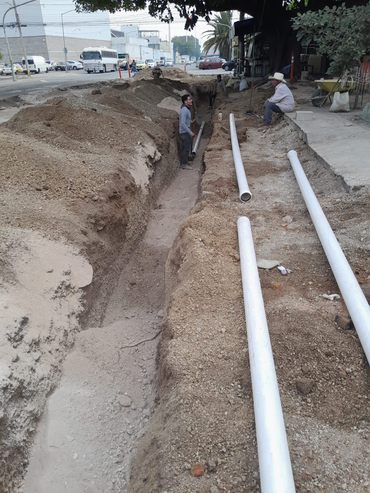 Imagen del proyecto