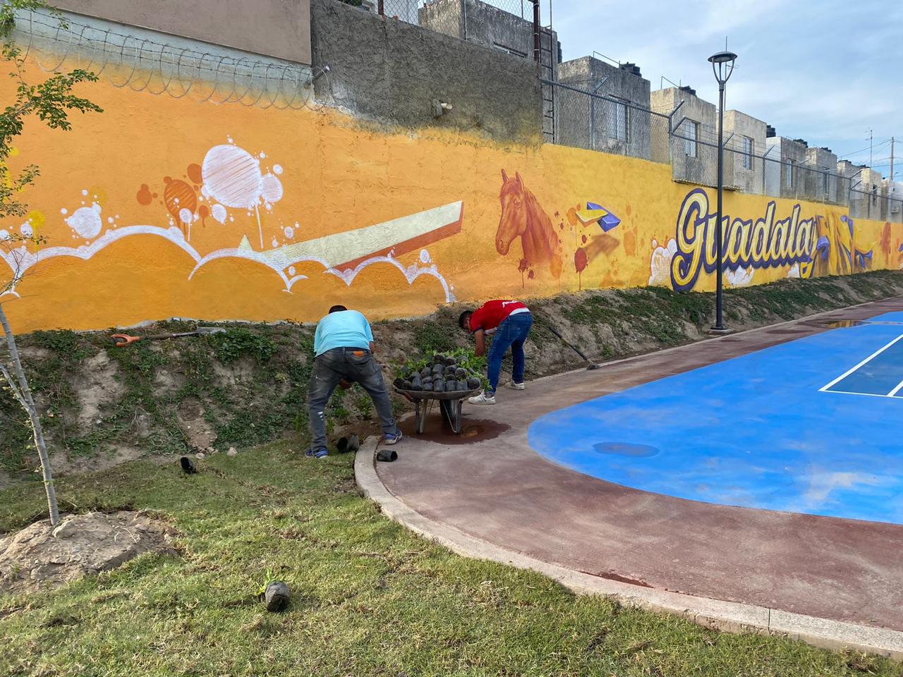 Imagen del proyecto
