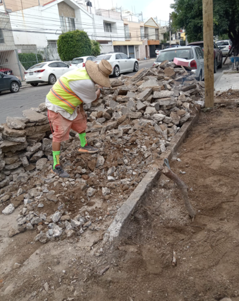 Imagen del proyecto