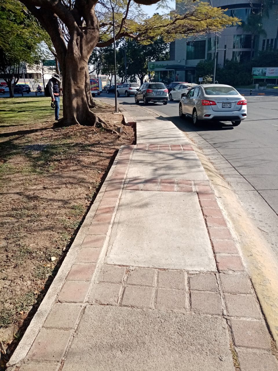 Imagen del proyecto