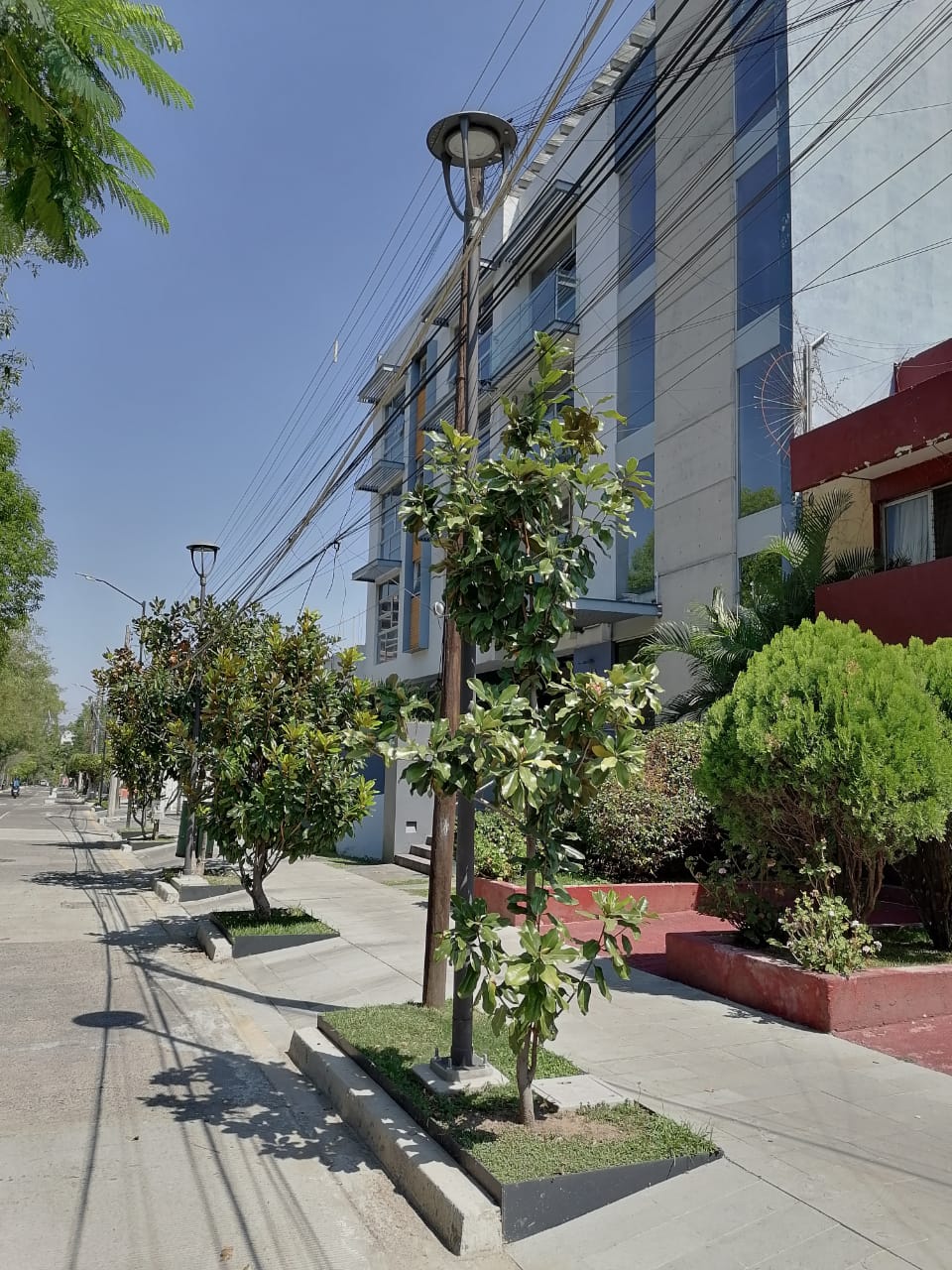 Imagen del proyecto