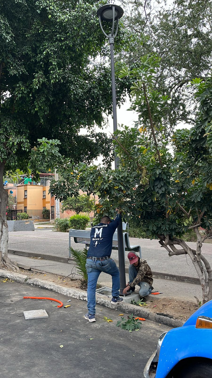 Imagen del proyecto