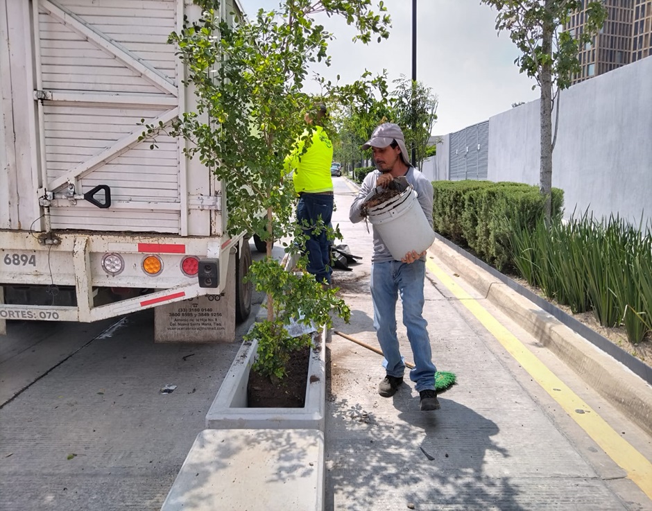 Imagen del proyecto